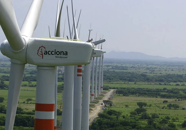  Wind Power Mexico  -  Black Label Uk 1
