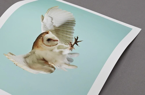  Hahnemühle Photorag 3