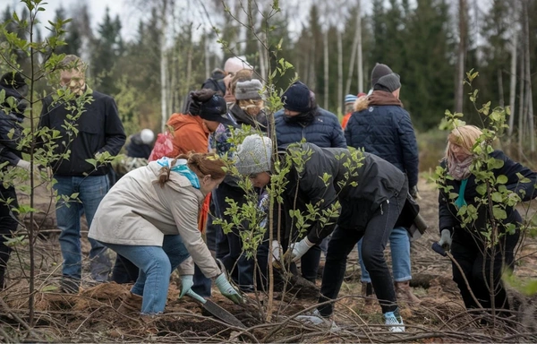  Tree Planting