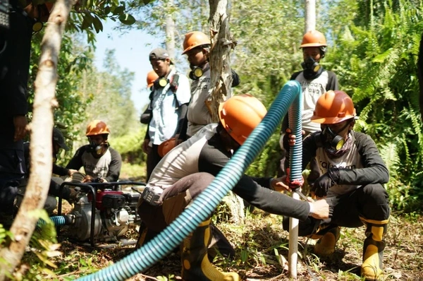  Peatland Restoration In Indonesia Black Label Uk 1