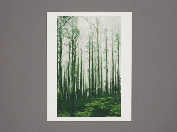  Ilford Cotton Textured 3