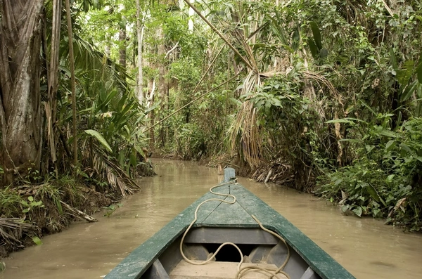  Peruvian Protection Of The Amazon
